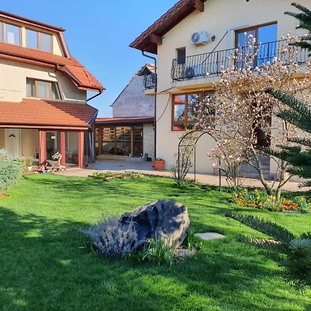 Casa Irinella Bed & Breakfast Satu Mare Exterior photo