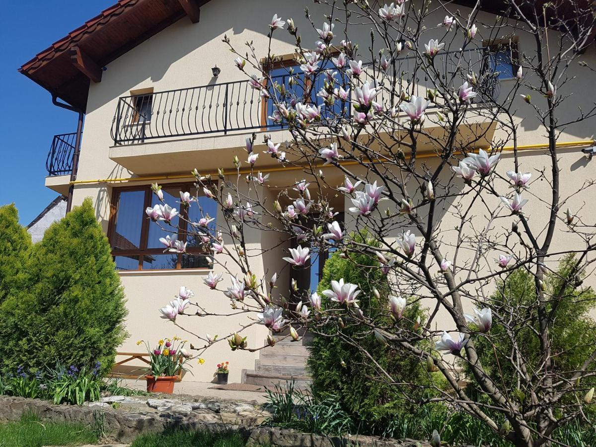 Casa Irinella Bed & Breakfast Satu Mare Exterior photo