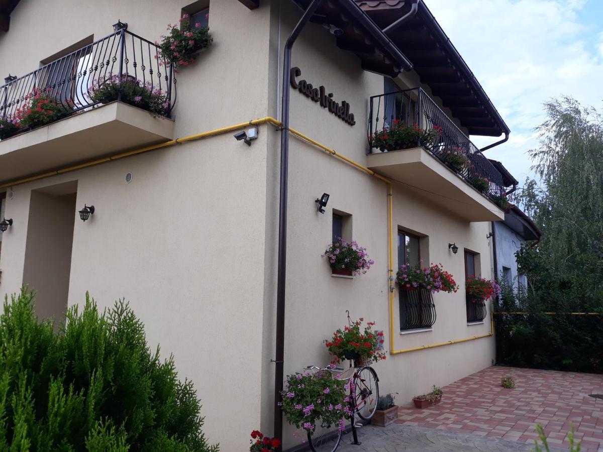 Casa Irinella Bed & Breakfast Satu Mare Exterior photo